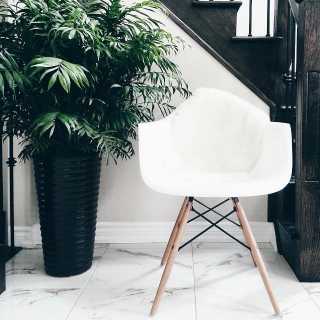 Image by Emily Veldman Image by Emily Veldman